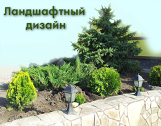 Ландшафтный дизайн