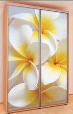 Шкаф-купе 1000 х 450 х 2100! Акция!