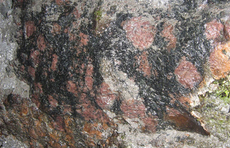 Продается Черняховский карьер в Житомирской обл.