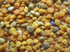 Перга пчелиная