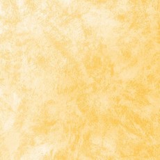 Панели ПВХ с термопереводом от производителя"Стимекс" 0.25х2