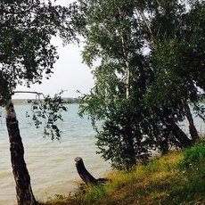 Продаю участок в садоводстве Политехник