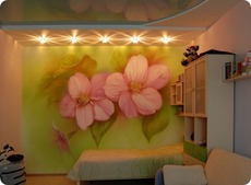 Аэрография на сенах.