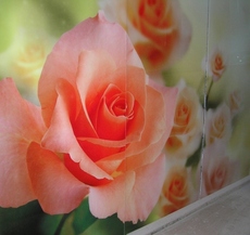 Шкафы-купе собственного производства. Опт и розница.