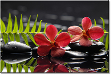 Картины на холсте