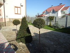 Продажа и укладка песчаника.