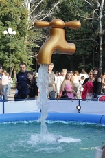 Опытный сантехник.