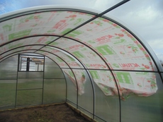Теплицы из профильной трубы под поликарбонат или пленку