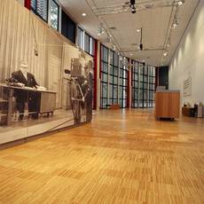 Коммерческий пол из бамбука Moso bamboo industriale (Нидерла