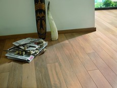 Ламинат Avatara-Floor Solid edition, Active edition (Германи