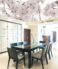 Установка натяжных потолков по новейшим технологиям.