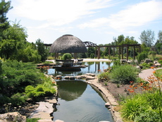 Ландшафтный дизайн