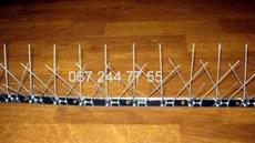 Шипы от птиц. Защита подоконников и балконов от птиц