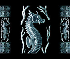 Интерьерные решения из стекла