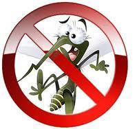 Москитные Сетки