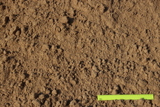 Песок речной от производителя в Киеве! С доставкой от 30 тон