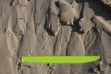 Песок речной от производителя в Киеве! С доставкой от 30 тон