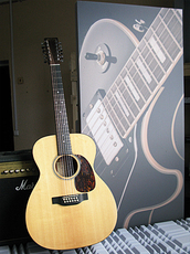 Окрашенные панели