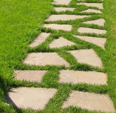 Рулонный газон от производителя