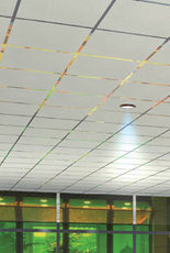 Лагуна мінеральна плита