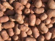 Керамзит, щебень, отсев, песок, шлаки, кирпич, шлакоблок.