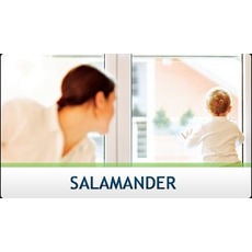 Окна Salamander - наилучшие перспективы для уютного дома
