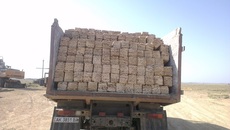 Ракушняк в Одессе