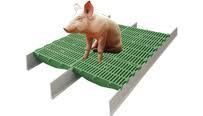 Пластиковые щелевые полы для свиноферм