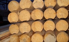 Пиломатериалы, кругляк, доска.