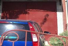 ворота гаражные распашные