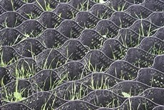 Модульная георешетка