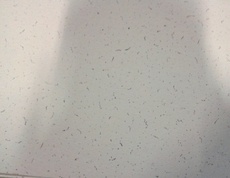 Подвесной потолок Миви