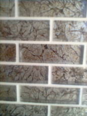 Будівництво