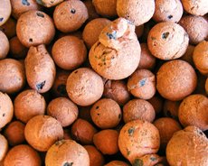 Керамзит Бровары