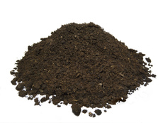 Торф низинный