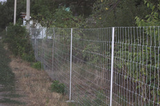 Дешевый забор