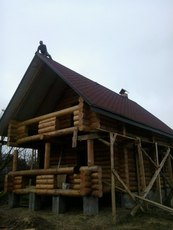 Будуємо будинки з дикого зрубу (необробленої колоди сосни) 