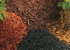 Мульча органічна декоративна