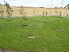 Создание декоративных водоемов