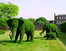 Ландшафтный дизайн