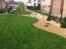 Рулонные газоны. Продажа. Укладка. Обслуживание.