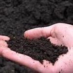 Купить чернозем Киев 