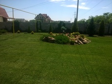 Рулонные газоны. Продажа. Укладка. Обслуживание.