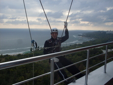 Кронирование деревьев