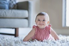 Напольные покрытия по оптовым ценам.