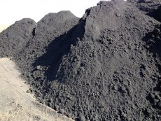 Аргиллит - угольный шлам.