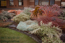 Ландшафтный дизайн