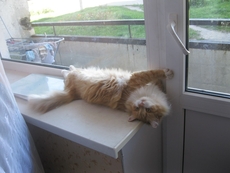 Срочный ремонт дверей Киев