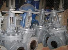 Задвижка 30с64нж