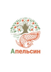 Комплексный ремонт квартир и коттеджей в Киеве и области.